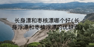 长身漂和枣核漂哪个好(长身浮漂和枣核浮漂的优缺点)