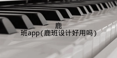 鹿班app(鹿班设计好用吗)