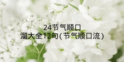 24节气顺口溜大全12句(节气顺口流)