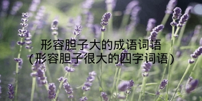 形容胆子大的成语词语(形容胆子很大的四字词语)