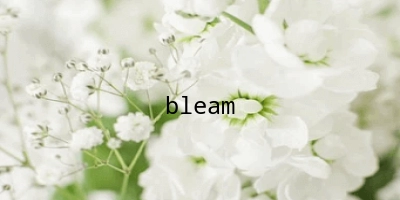 bleam