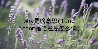 why是啥意思(lunchroom是啥意思怎么读)