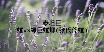 泰坦巨螳vs绿巨螳螂(张氏斧螳)