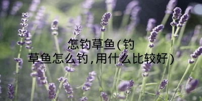 怎钓草鱼(钓草鱼怎么钓,用什么比较好)