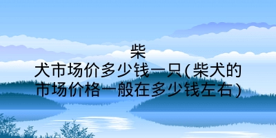 柴犬市场价多少钱一只(柴犬的市场价格一般在多少钱左右)