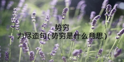 势穷力尽造句(势穷是什么意思)