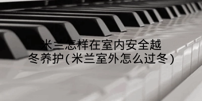 米兰怎样在室内安全越冬养护(米兰室外怎么过冬)