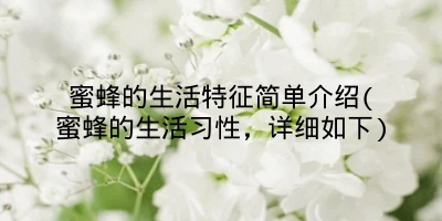 蜜蜂的生活特征简单介绍(蜜蜂的生活习性，详细如下)