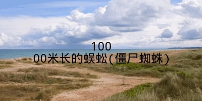 10000米长的蜈蚣(僵尸蜘蛛)