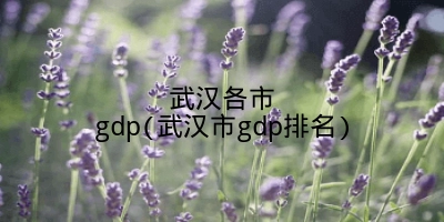 武汉各市gdp(武汉市gdp排名)