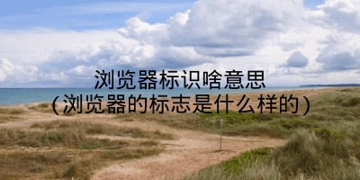 浏览器标识啥意思(浏览器的标志是什么样的)