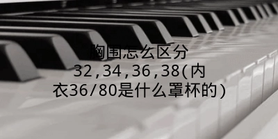 胸围怎么区分32,34,36,38(内衣36/80是什么罩杯的)