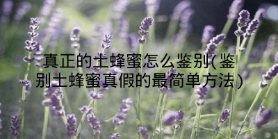 真正的土蜂蜜怎么鉴别(鉴别土蜂蜜真假的最简单方法)