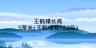 王鹤棣长高5厘米(王鹤棣有183吗)