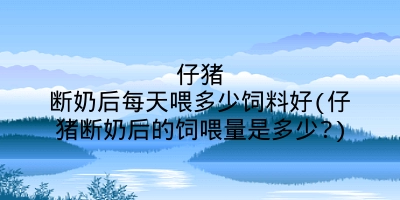 仔猪断奶后每天喂多少饲料好(仔猪断奶后的饲喂量是多少?)