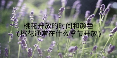 桃花开放的时间和颜色(桃花通常在什么季节开放)