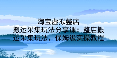 淘宝虚拟整店搬运采集玩法分享课：整店搬运采集玩法，保姆级实操教程