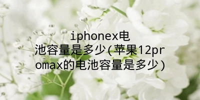 iphonex电池容量是多少(苹果12promax的电池容量是多少)