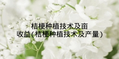 桔梗种植技术及亩收益(桔梗种植技术及产量)