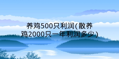 养鸡500只利润(散养鸡2000只一年利润多少)