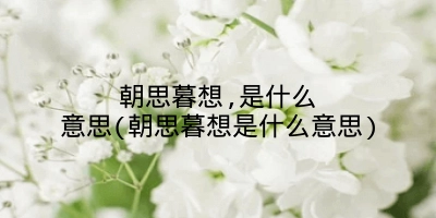 朝思暮想,是什么意思(朝思暮想是什么意思)