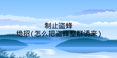 制止盗蜂绝招(怎么把盗蜂整群诱来)