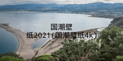 国潮壁纸2021(国潮壁纸4k)