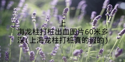 上海龙柱打桩出血图片60米多深(上海龙柱打桩真的假的)