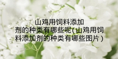 山鸡用饲料添加剂的种类有哪些呢(山鸡用饲料添加剂的种类有哪些图片)