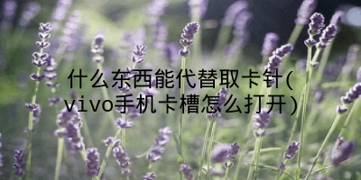 什么东西能代替取卡针(vivo手机卡槽怎么打开)