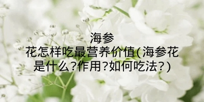 海参花怎样吃最营养价值(海参花是什么?作用?如何吃法?)