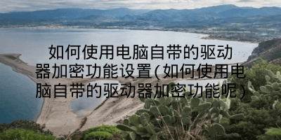 如何使用电脑自带的驱动器加密功能设置(如何使用电脑自带的驱动器加密功能呢)