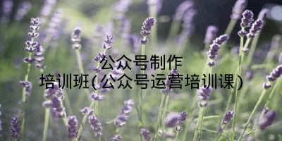 公众号制作培训班(公众号运营培训课)