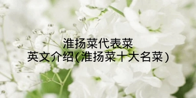 淮扬菜代表菜英文介绍(淮扬菜十大名菜)