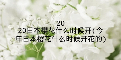 2020日本樱花什么时候开(今年日本樱花什么时候开花的)