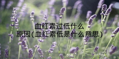 血红素过低什么原因(血红素低是什么意思)