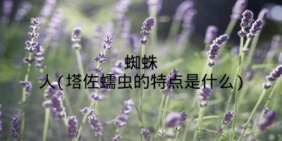 蜘蛛人(塔佐蠕虫的特点是什么)