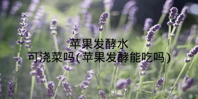 苹果发酵水可浇菜吗(苹果发酵能吃吗)