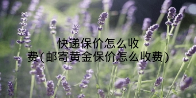 快递保价怎么收费(邮寄黄金保价怎么收费)