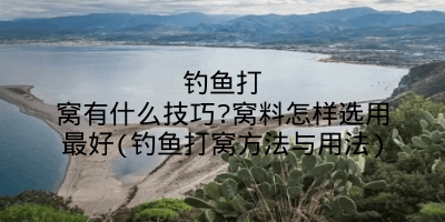 钓鱼打窝有什么技巧?窝料怎样选用最好(钓鱼打窝方法与用法)