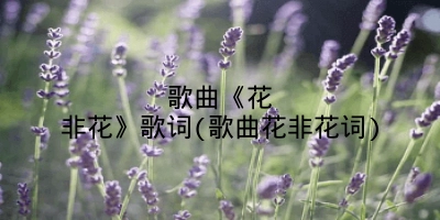 歌曲《花非花》歌词(歌曲花非花词)