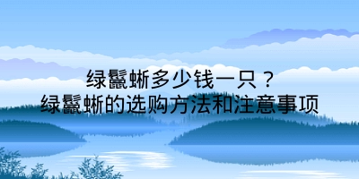 绿鬣蜥多少钱一只？绿鬣蜥的选购方法和注意事项