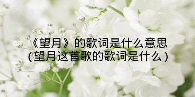 《望月》的歌词是什么意思(望月这首歌的歌词是什么)