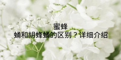 蜜蜂蛹和胡蜂蛹的区别？详细介绍