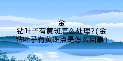 金钻叶子有黄斑怎么处理?(金钻叶子有黄斑点是怎么回事)