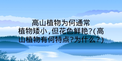 高山植物为何通常植物矮小,但花色鲜艳?(高山植物有何特点?为什么?)