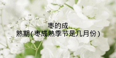 枣的成熟期(枣成熟季节是几月份)