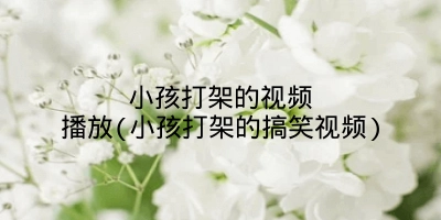 小孩打架的视频播放(小孩打架的搞笑视频)