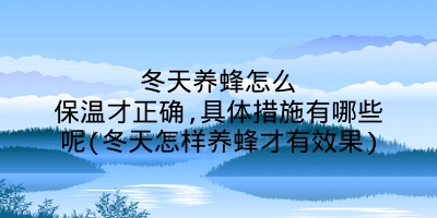 冬天养蜂怎么保温才正确,具体措施有哪些呢(冬天怎样养蜂才有效果)