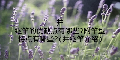 并继竿的优缺点有哪些?附竿型特点有哪些?(并继竿介绍)